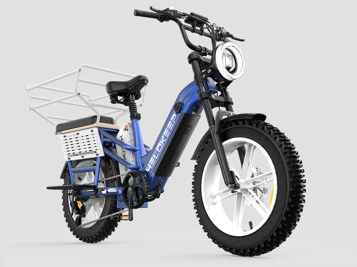 Hikeep CD20 Cruiser Cargo Electric Bike