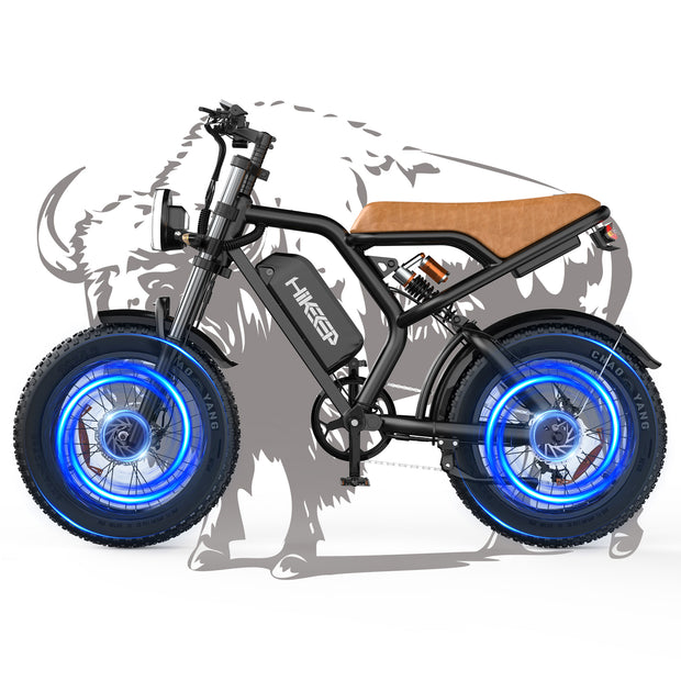 HiKeep K6-T Dual Motors 48V/15.6Ah Electric Bike