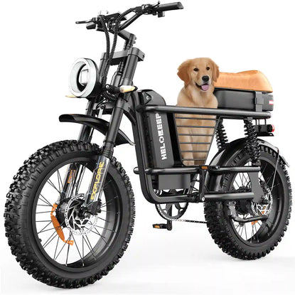 ME Cargo Fat Tire eBike