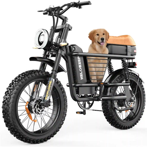 ME Cargo Fat Tire eBike