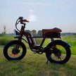 ME Cargo Retro Off-Road Electric Bikes | All-Terrain Ebikes