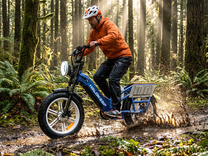 Hikeep CD20 Cruiser Cargo Electric Bike