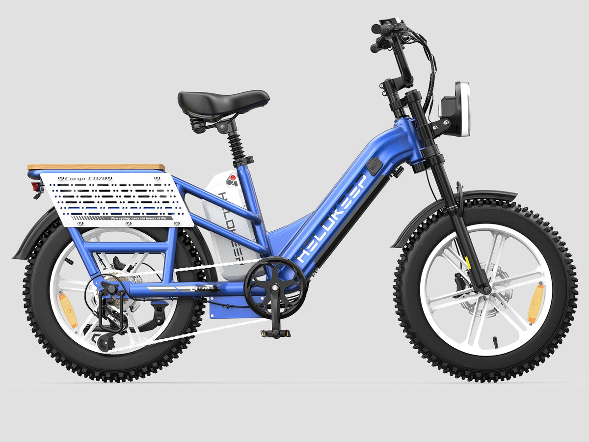 Hikeep CD20 Cruiser Cargo Electric Bike