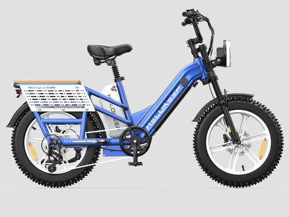 Hikeep CD20 Cruiser Cargo Electric Bike