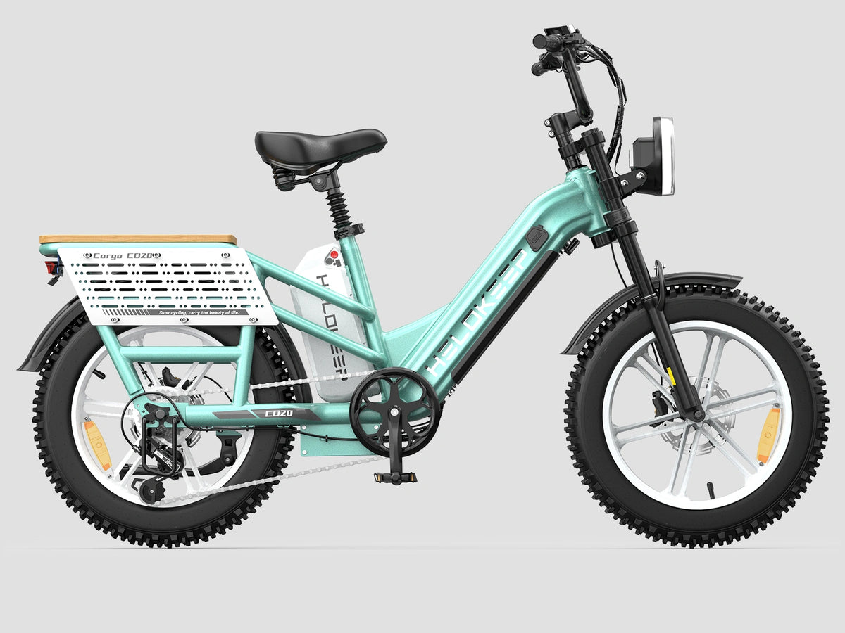 Hikeep CD20 Cruiser Cargo Electric Bike