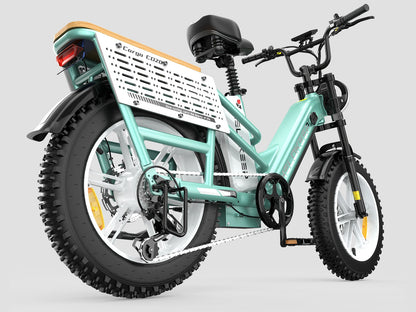 Hikeep CD20 Cruiser Cargo Electric Bike