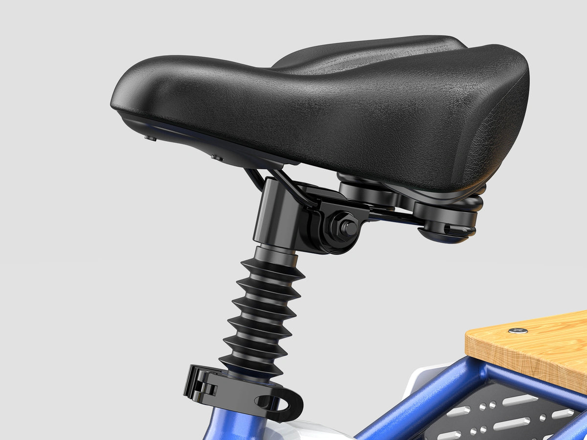 Hikeep CD20 Cruiser Cargo Electric Bike