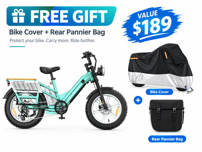 Hikeep CD20 Cruiser Cargo Electric Bike