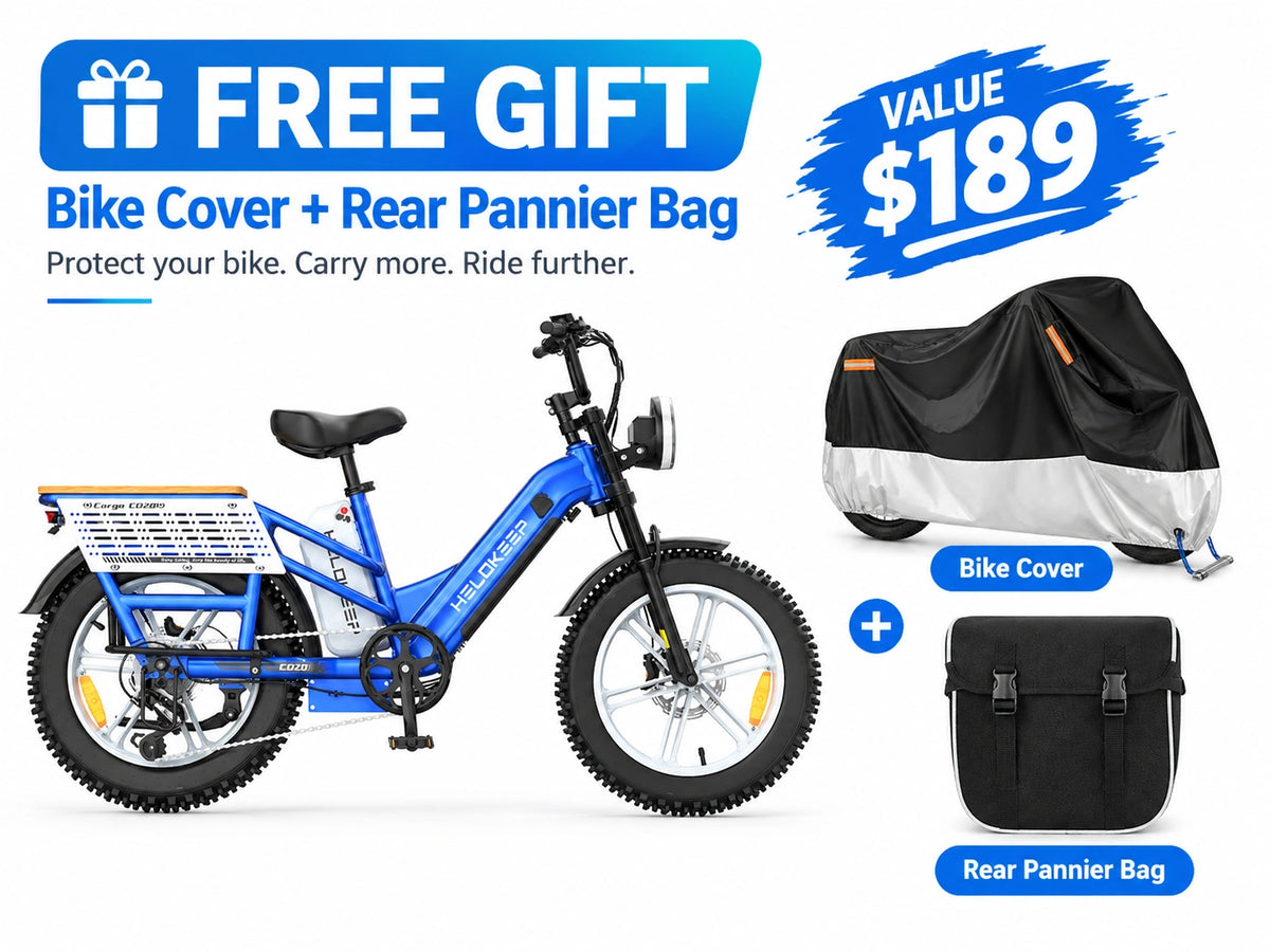 Hikeep CD20 Cruiser Cargo Electric Bike