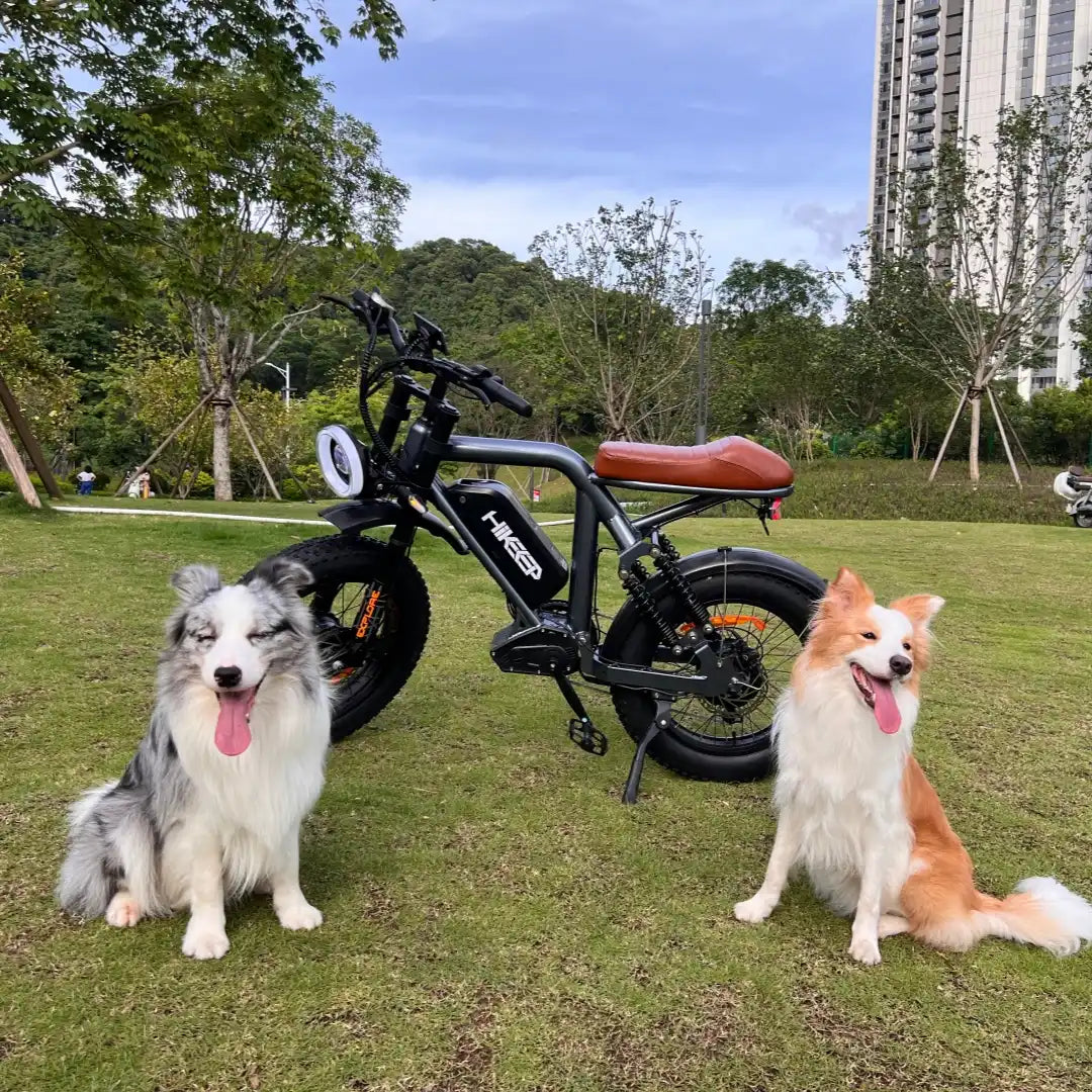 MG Retro  Off-Road Electric Bikes | All-Terrain Ebikes - Hikeep ebike