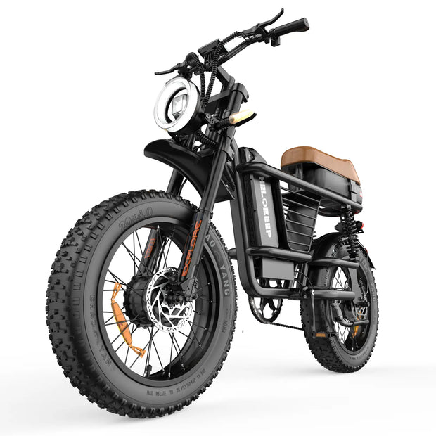 ME Cargo Fat Tire eBike
