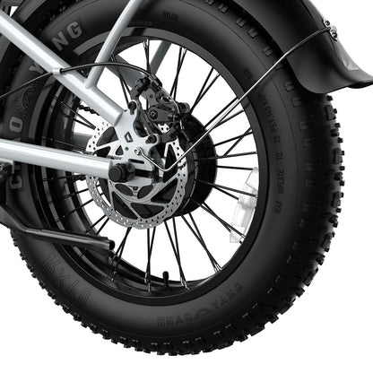 Hikeep COCO Brakes - Hikeep ebike