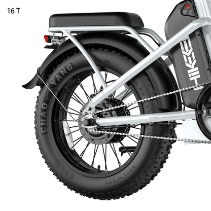 Hikeep COCO Flywheel - Hikeep ebike